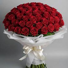 Букет 101 Красная роза Блэк Мэджик в Новой Криуше