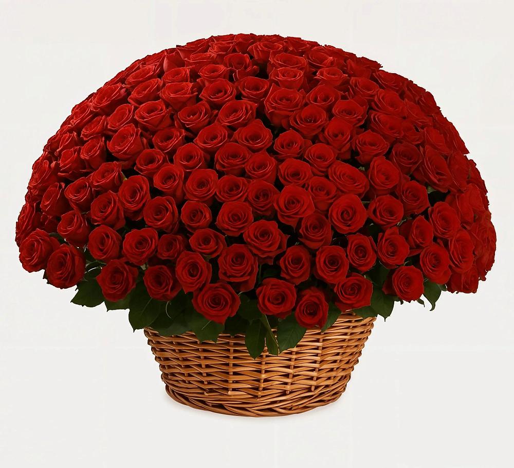 Премиум букет из: Розы в Новой Криуше