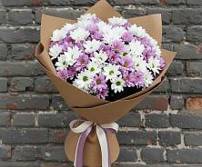 Букет цветов из:  Хризантемы в Новой Криуше