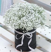 Цветочная композиция из Гипсофила в шляпной коробке в Новой Криуше
