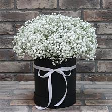 Цветочная композиция из Гипсофила в шляпной коробке в Новой Криуше