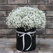 Цветочная композиция из Гипсофила в шляпной коробке в Новой Криуше