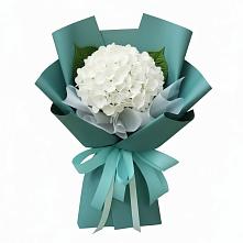 Букет цветов из:  Гортензия в Новой Криуше